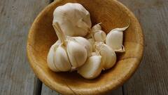 Garlic:உணவில் தினமும் பூண்டு சாப்பிடுவதில் இவ்வளவு நன்மைகளா?