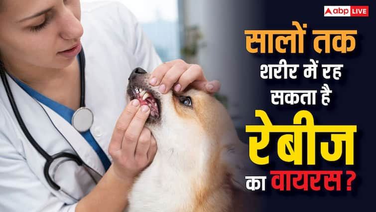 Can the rabies virus remain hidden in the body for many years? Know what the truth is