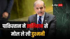 UN में 'जहर की खेती' कर रहा था पाकिस्तान तो भड़क गया तालिबान, लगा दी फटकार