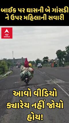 Farmer Bike Riding | બાઈક પર ઘાસની બે ગાંસડી ને ઉપર મહિલાની સવારી, આવો વીડિયો ક્યારેય નહીં જોયો હોય!