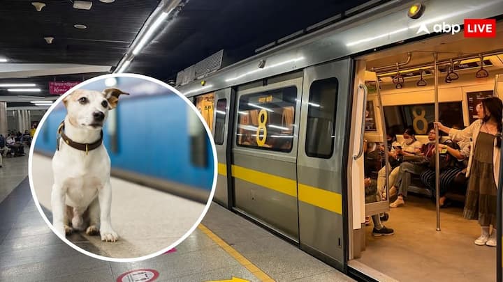 Delhi Metro Rules For Pets: अक्सर दिल्ली मेट्रो में सफर करने को लेकर लोगों के मन में एक सवाल आता है. क्या दिल्ली मेट्रो में अपने पेट्स एनिमल को साथ ले जाया जा सकता है. जानें इसे लेकर क्या हैं नियम.