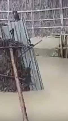 Bihar Rains: भारी बारिश के बाद बिहार के अररिया में बाढ़ के हालात | ABP Shorts