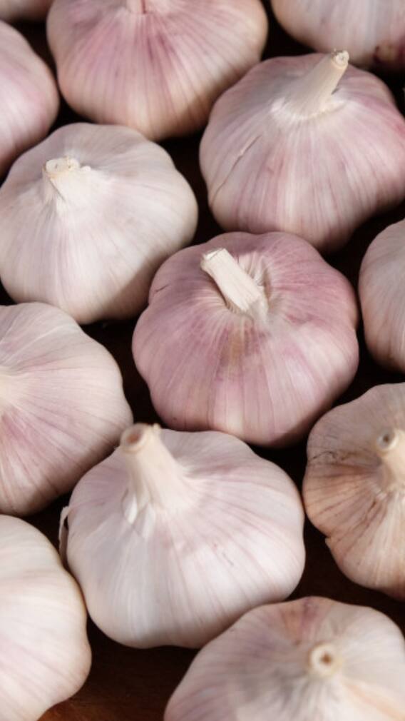 మార్కెట్​లో చైనా వెల్లుల్లి.. ఈ టిప్స్​తో జాగ్రత్తగా గుర్తుపట్టేయండి