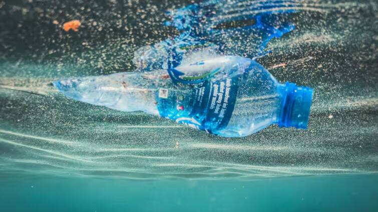 1 Million Plastic Water Bottles Sold Every Minute. Here's Why This Is A Huge Problem Water Bottle Issue: ஆத்தாடி..! 1 நிமிடத்திற்கு 10 லட்சம் பிளாஸ்டிக் பாட்டில்கள்.. இயற்கையை சூறையாடும் மனிதகுலம்