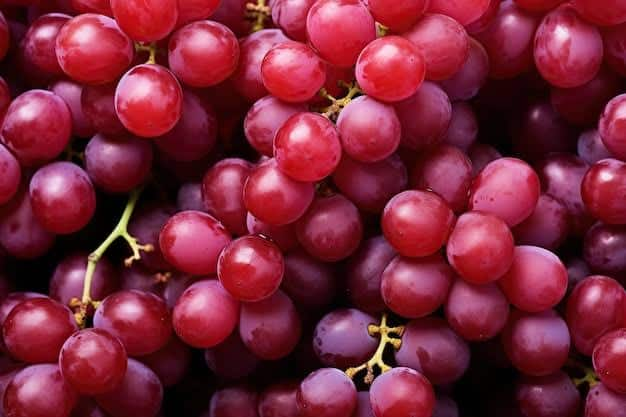 Polyphenolic enzymes like flavonoids and resveratrol found in red grapes help reduce oxidative stress. Thus, the brain functions properly and the risk of developing Alzheimer's problem is reduced. Its consumption also helps improve weak memory.