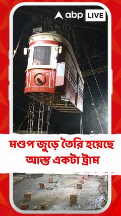 চেতলা সর্বসাধারণের দুর্গোৎসব, প্রসন্নময়ী ঘাটে এবার অভিনবত্ব