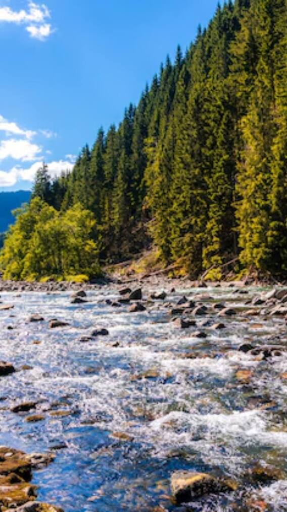 पाकिस्तान में बहती हैं ये नदियां?