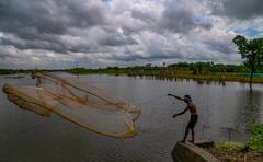 Mahalaya Weather : মহালয়ার ভোরে তুমুল বৃষ্টি নাকি নীল আকাশে ভাসবে মেঘের ভেলা, আবহাওয়া বদলের বড় সঙ্কেত