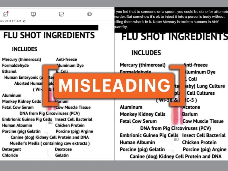 Fact Check: Viral Post Misleads With Claim About 'Lethal Ingredients' In Flu Vaccine