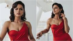 NBK 109 Heroine: బాలకృష్ణ కొత్త సినిమాలో హీరోయిన్ ఛాన్స్ కొట్టేసిన కన్నడ బ్యూటీ - గ్లామరస్ ఫోటోలతో హీట్ ఎక్కిస్తున్న భామ