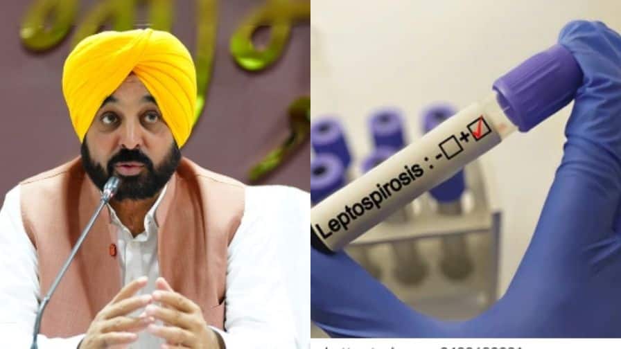 CM Bhagwant Mann: ਸੀਐਮ ਭਗਵੰਤ ਮਾਨ ਕਿਉਂ ਹੋਏ leptospirosis ਦਾ ਸ਼ਿਕਾਰ? ਜਾਣੋ ਕਿੰਨੀ ਖਤਰਨਾਕ ਬਿਮਾਰੀ Why did CM Bhagwant Mann victim of leptospirosis Know how dangerous the is disease CM Bhagwant Mann: ਸੀਐਮ ਭਗਵੰਤ ਮਾਨ ਕਿਉਂ ਹੋਏ leptospirosis ਦਾ ਸ਼ਿਕਾਰ? ਜਾਣੋ ਕਿੰਨੀ ਖਤਰਨਾਕ ਬਿਮਾਰੀ