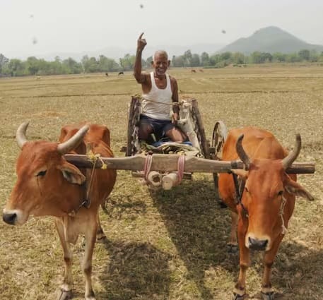 groundnut mung urad soybean purchase minimum support price by Gujarat government ખેડૂતો માટે ગુજરાત સરકારનો વધુ એક આવકારદાયક નિર્ણય, આ તારીખથી ૯૦ દિવસ સુધી ટેકાના ભાવે ખરીદી થશે