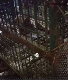 बहराइच में आदमखोर तेंदुआ पिंजरे में कैद | ABP NEWS SHORTS