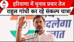 Haryana Election 2024: आज से राहुल की विजय संकल्प यात्रा, 3 दिनों तक चलेगा कार्यक्रम | Rahul Gandhi