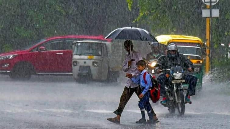 India Receives Surplus Monsoon This Yr, Logs 8 Per Cent Extra Rainfall Than Regular