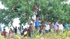 किसानों ने पेड़ों पर चढ़कर बजाए घंटी और शंख, पीएम मोदी से लेकर सीएम मोहन तक पहुंचानी है ये बात