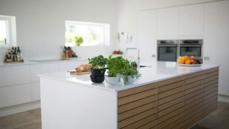 5 Foods You Should Never Store On Kitchen Countertops Kitchen Tips: முட்டை, வெங்காயம் பிரெஷ் ஆக இருக்க.. சமையலறை பராமரிப்பு குறிப்புகள் இதோ!