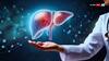 Liver Disease: फैटी लिवर की बीमारी से जूझ रहे हैं हर 10 में से 3 भारतीय, रिसर्च में हुआ बड़ा खुलासा