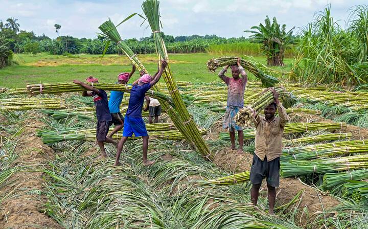 মহালয়ার দিন ভারী বৃষ্টির কোন সম্ভাবনা নেই দক্ষিণবঙ্গে। স্থানীয়ভাবে বিক্ষিপ্ত বৃষ্টি হতে পারে দু-এক জায়গায়। দেশ থেকে বর্ষা বিদায় পর্ব শুরু হয়েছে। বাংলা থেকে বর্ষা বিদায় নেবে অক্টোবর মাসের মাঝামাঝি।