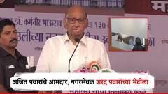 मोठी बातमी! अजित पवार गटाचे आमदार बबन शिंदे थेट शरद पवारांच्या भेटीला; राज्याच्या राजकारणात मोठ्या घडामोडी
