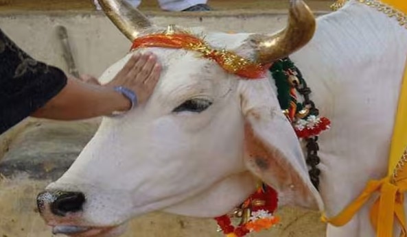 'Declare Cow National Mother, Bring Law To Curb Love Jihad': Seers At Dharam Sansad