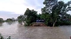 Bihar News: बिहार के कई जिलों में बाढ़ ने मचाई तबाही, तस्वीरों में देखें हालात