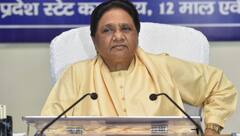 बसपा ने खैर छोड़कर 8 सीटों पर उतारा उम्मीदवार, मायावती ने इनके नाम पर लगाई मुहर, जानें- करहल से कौन?