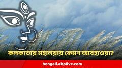 Mahalaya Weather : মহালয়ার ভোরে তুমুল বৃষ্টি নাকি নীল আকাশে ভাসবে মেঘের ভেলা, আবহাওয়া বদলের বড় সঙ্কেত