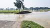 Bihar Flood News: बेतिया में रिंग बांध टूटा, 20 साल पहले बना था, 5 पंचायतों में घुसा बाढ़ का पानी, कई गांव डूबे
