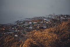 दुनिया की वो कौन सी 5 नदियां हैं, जिनका पानी जहर से कम नहीं! लिस्ट में भारत की ये रिवर भी शामिल