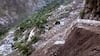 Himachal: Landslide Cuts Off Kinnaur From Shimla, Massive Blockage On NH5 Strands Tourists And Trucks