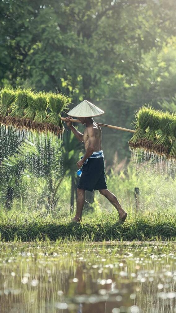 किसानों के लिए बेस्ट हैं ये सरकारी योजनाएं