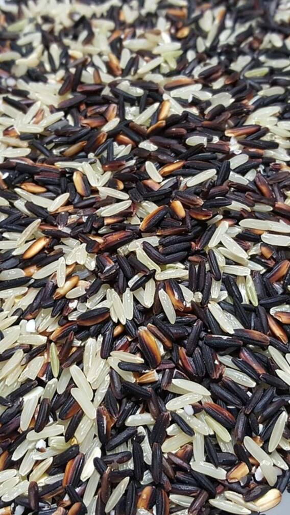 ब्लैक राइस की खेती आम चावल की खेती से कितनी अलग?