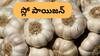 Garlic: ఈ వెల్లుల్లి యమా డేంజర్‌, పదేళ్ల క్రితం నిషేధం - మీరు ఇదే తింటున్నారా?
