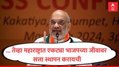 यंदा महायुतीचं सरकार येईल, 2029 ला एकट्या भाजपच्या जीवावर सरकार करायचं; अमित शाहांनी सांगितली निवडणुकीसाठी स्ट्रॅटेजी