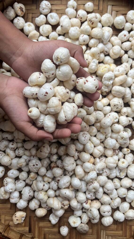 मखाने के लिए जाना जाता है भारत का ये शहर