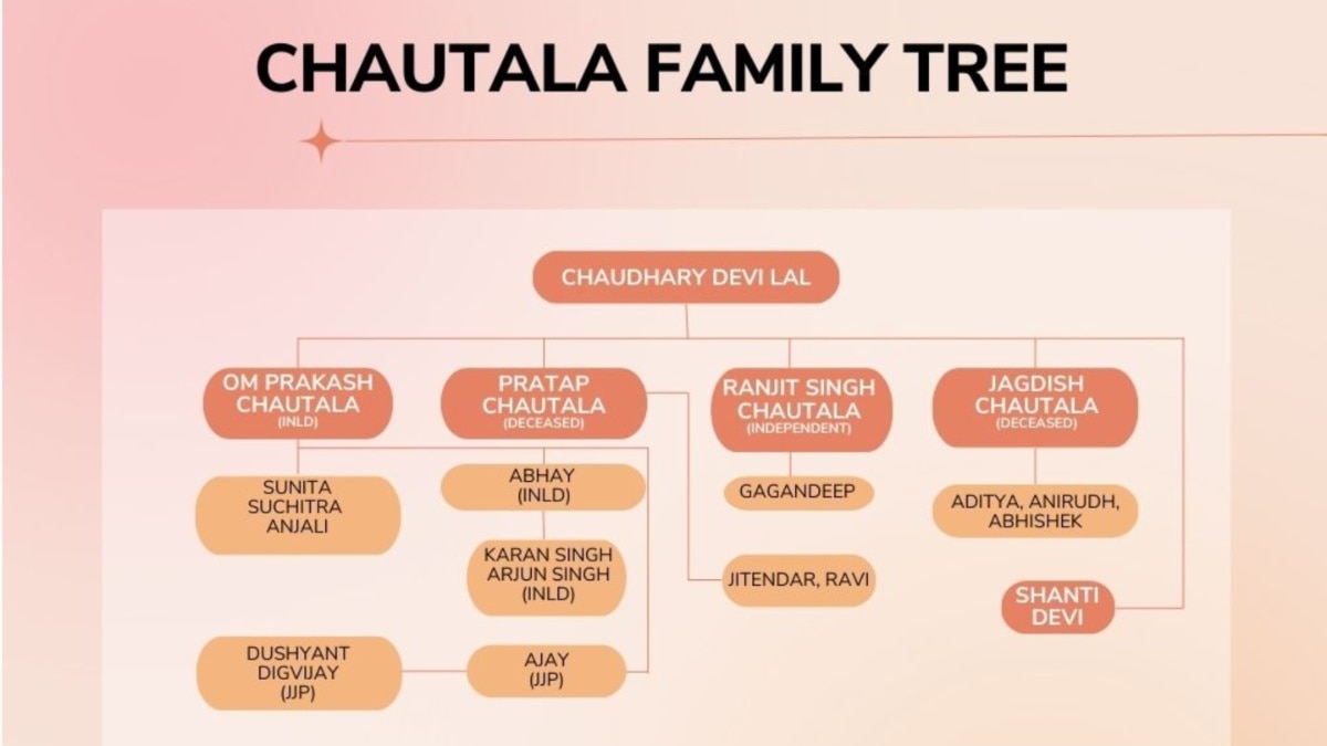 Once An All-Powerful Family, Chautalas Fighting Haryana Elections For Survival In 2024