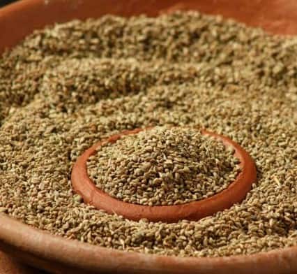 ਆਯੁਰਵੇਦ ਵਿੱਚ ਗੁੜ ਅਤੇ ਅਜਵਾਇਣ ਦੀ ਵਰਤੋਂ ਕੀਤੀ ਜਾਂਦੀ ਹੈ। ਅਜਵਾਇਣ ਅਤੇ ਗੁੜ ਦੋਵਾਂ ਵਿੱਚ ਗਰਮ ਕਰਨ ਦੇ ਗੁਣ ਹੁੰਦੇ ਹਨ, ਜੋ ਸਰੀਰ ਨੂੰ ਗਰਮ ਰੱਖਣ ਵਿੱਚ ਮਦਦ ਕਰਦੇ ਹਨ। ਇਸ ਨਾਲ ਸਰੀਰ ਦੇ ਦਰਦ ਤੋਂ ਬਹੁਤ ਰਾਹਤ ਮਿਲਦੀ ਹੈ। ਜ਼ੁਕਾਮ ਤੋਂ ਬਚਣ ਲਈ ਦਿਨ ਵਿਚ ਘੱਟੋ-ਘੱਟ ਇਕ ਵਾਰ ਅਜਵਾਇਣ ਅਤੇ ਗੁੜ ਦਾ ਸੇਵਨ ਕਰਨਾ ਚਾਹੀਦਾ ਹੈ।