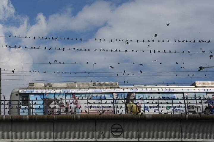 मौसम विभाग का कहना है कि 5 अक्टूबर से दिल्ली का मौसम फिर से बदल सकता है. मौसम विभाग के अनुसार 5 अक्टूबर के बाद दिल्ली में बादल छाने और बारिश की उम्मीद है.