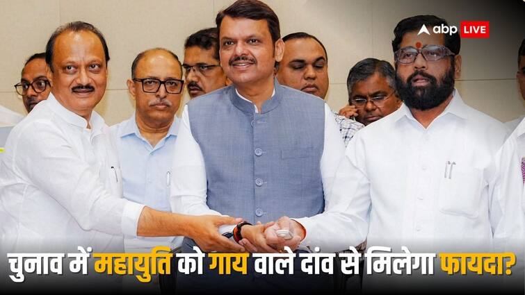 Maharashtra Elections 2024 Eknath Shinde Cabinet Approves Rajya Mata Title For Indigenous Cow See What Will Change After This Decision महाराष्ट्र में गाय बनी 'राज्यमाता', इस बड़े फैसले से क्या बदलेगा? बिहार से लेकर यूपी तक राज्य पशु क्या