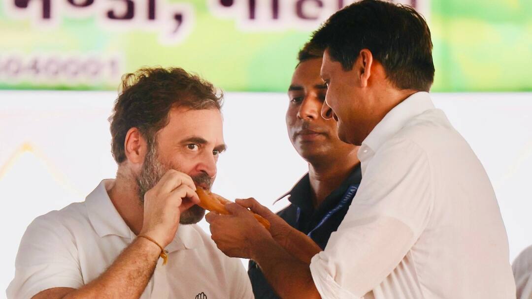 Rahul Gandhi liked taste of Jalebi of Gohana in Sonipat Haryana गुहाना की जलेबी के स्वाद के राहुल गांधी भी हुए दीवाने, जानें क्या है इसकी खासियत?