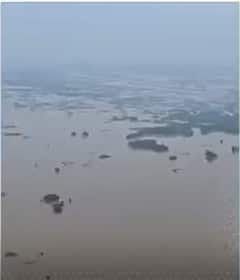 Bihar Floods: बिहार में बाढ़ प्रभावित इलाके का अधिकारियों ने किया हवाई सर्वेक्षण #abpnewsshorts