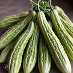 ਇਸ ਕੌੜੀ ਚੀਜ਼ 'ਚ ਛੁਪੇ ਨੇ ਸਿਹਤ ਦੇ ਕਈ ਰਾਜ਼, ਜਾਣੋ ਫਾਇਦੇ