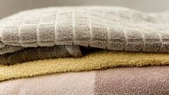 Washing Towels: তোয়ালে কত ঘন ঘন কাচবেন? ঠান্ডা না গরম জলে ভেজাবেন? জানুন খুঁটিনাটি