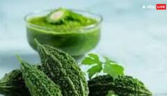 ਇਸ ਕੌੜੀ ਚੀਜ਼ 'ਚ ਲੁਕੇ ਸਿਹਤ ਦੇ ਕਈ ਰਾਜ, ਰੋਜ਼ ਖਾਣ ਨਾਲ ਹੋਣਗੇ ਜ਼ਬਰਦਸਤ ਫਾਇਦੇ