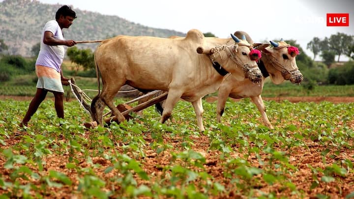 PM Kisan Samman NIdhi Yojana: जिन किसानों ने अब तक योजना में आवेदन नहीं दिया है. 18वीं किस्त के लिए क्या वह आवेदन दे सकते हैं. क्या हैं इसे लेकर नियम. चलिए आपको बताते हैं.