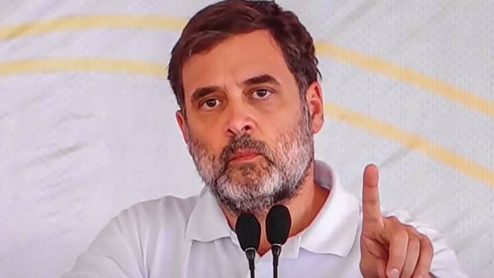 राहुल गांधी ने कहा कि डर के कारण हमारे भी लोग दूसरी ओर भाग गए हैं, लेकिन वहां पर वह मुस्कुरा नहीं सकते. मोदी के सामने उनको सीरियस बैठना होता है. आप लोग वह हो जो कभी डरे नहीं.