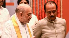 महायुतीत राष्ट्रवादीला झुकतं माप? विधानसभेच्या पार्श्वभूमीवर गृहमंत्री अमित शाहांसोबत अजित पवारांची वेगळ्या फिल्डिंगच्या चर्चा