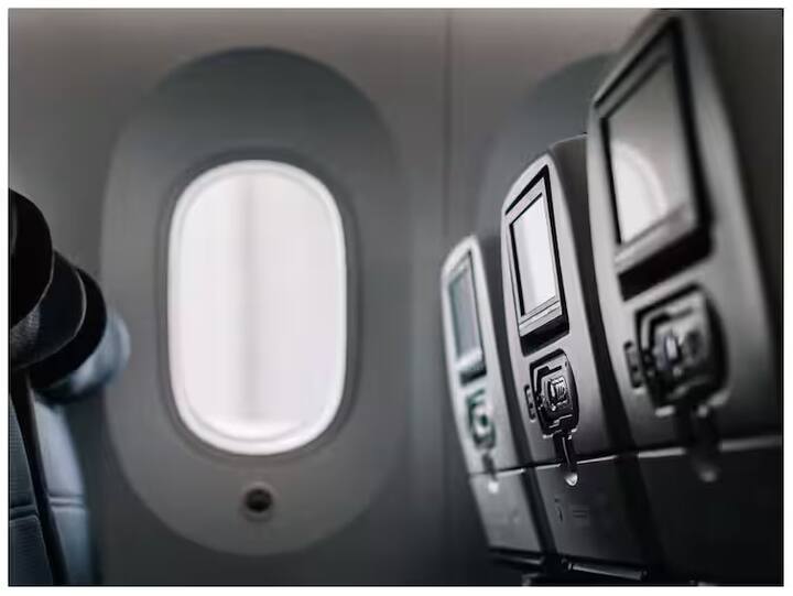 आजकाल बहुतेक लोक विमानानं प्रवास करणं पसंत करतात. विमानात सगळ्या सोयी-सुविधा असतात. तुम्हाला जेवण, ड्रिंक्स दिल्या जातात. पण विमानात दिलं जाणारं जेवण कुणाला फारसं आवडत नाही...?