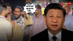 'चीन पैसा देकर कोई मदद नहीं करता', जिनपिंग की अरबों रुपये की हेल्प पाकिस्तानियों को क्यों नहीं आई रास?